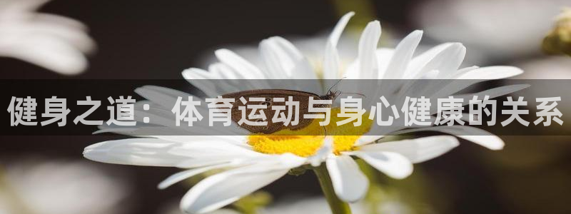 哈哈体育：健身之道：体育运动与身心健康的关系