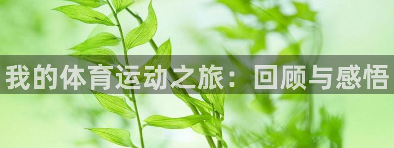 哈哈体育下载：我的体育运动之旅：回顾与感悟