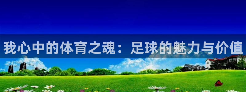 哈哈体育下载：我心中的体育之魂：足球的魅力与价值