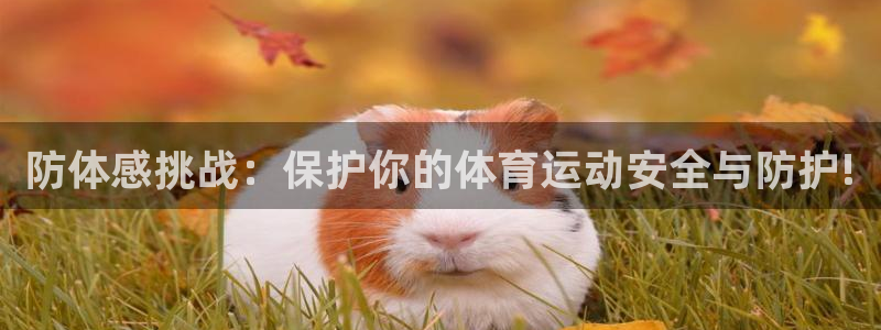 哈哈体育下载：防体感挑战：保护你的体育运动安全与防护!