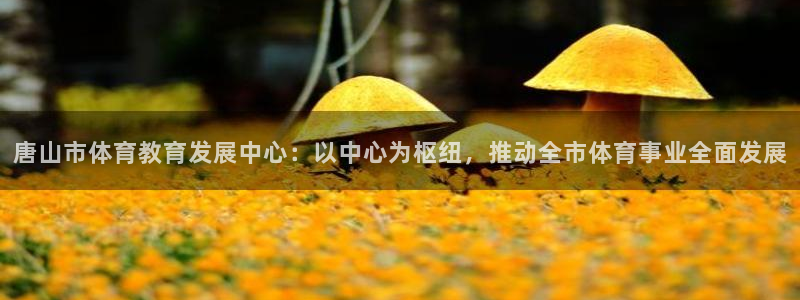 哈哈体育下载：唐山市体育教育发展中心：以中心为枢纽，推动全市体育事业全面发展