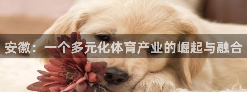 哈哈体育：安徽：一个多元化体育产业的崛起与融合
