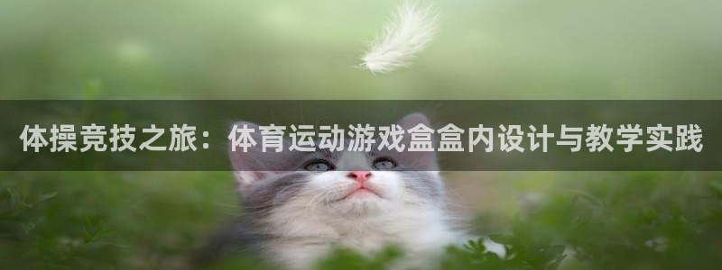 哈哈体育：体操竞技之旅：体育运动游戏盒盒内设计与教学实践