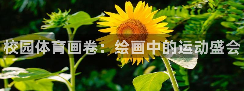 哈哈体育下载：校园体育画卷：绘画中的运动盛会