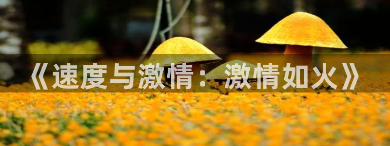 哈哈体育：《速度与激情：激情如火》