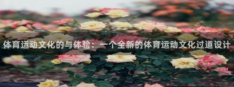 哈哈体育下载：体育运动文化的与体验：一个全新的体育运动文化过道设计